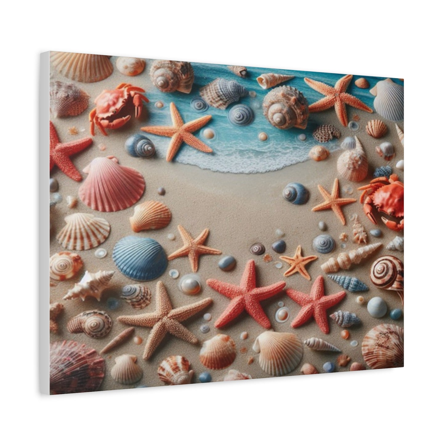 Beach Starfish And Shells Canvas