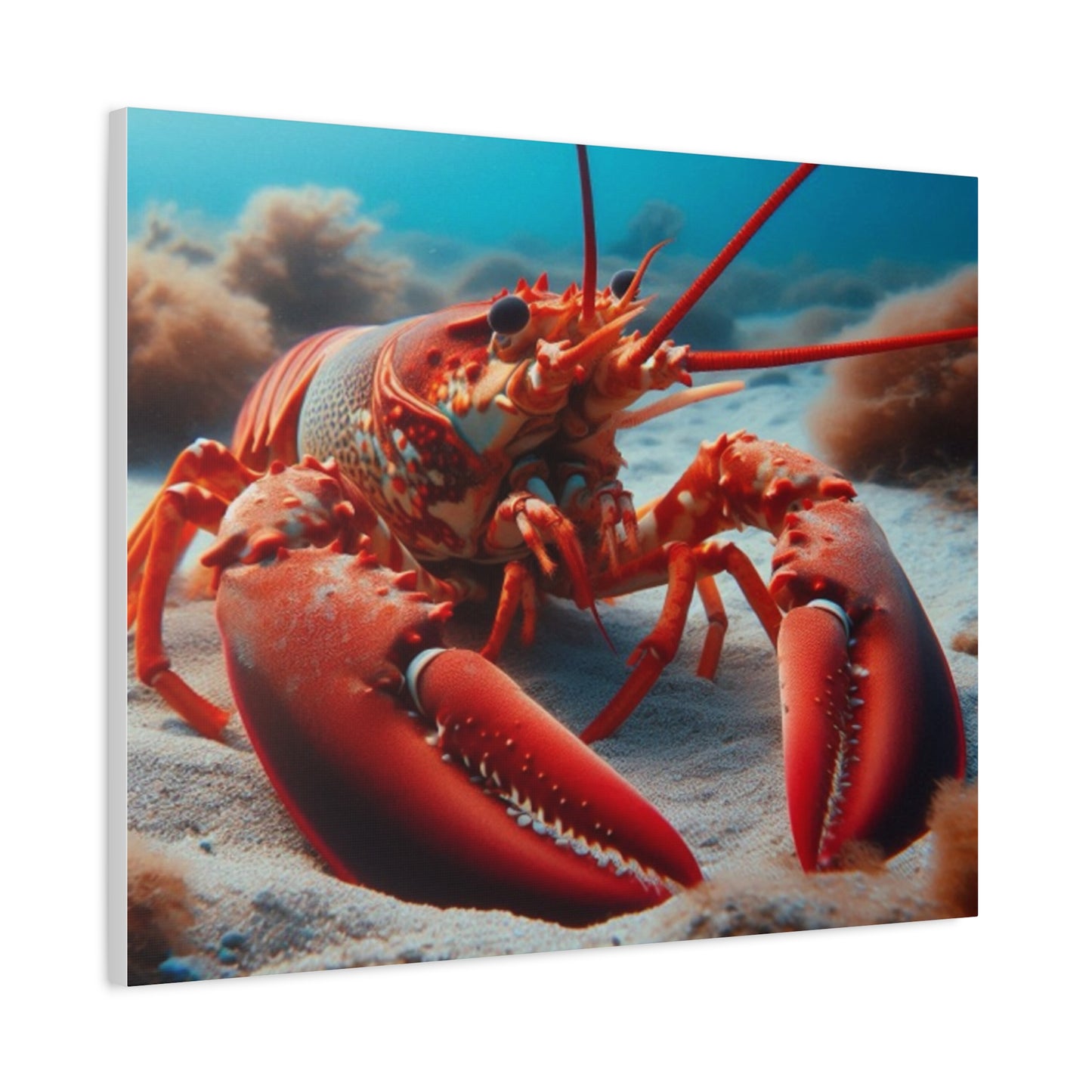 Lobster Canvas