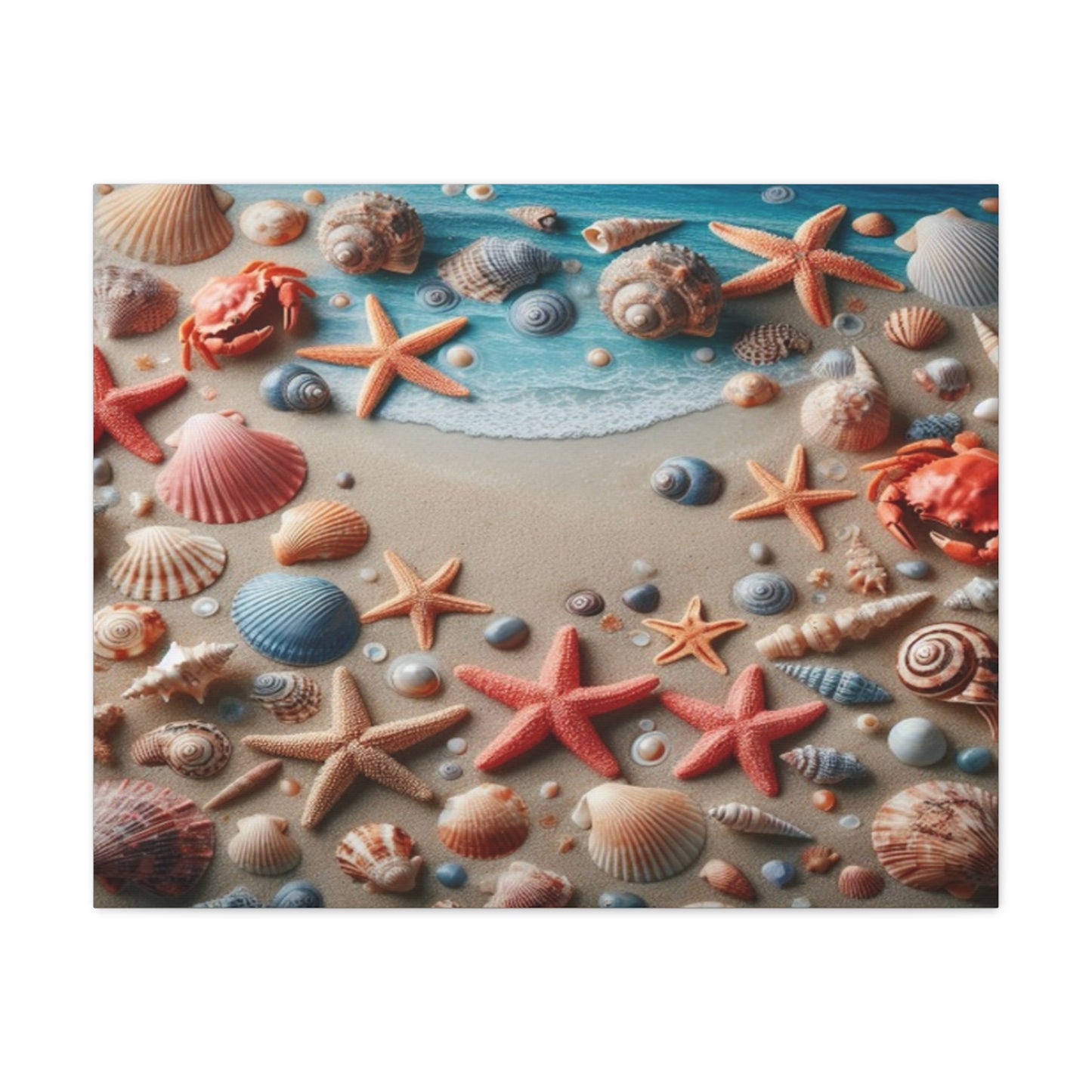 Beach Starfish And Shells Canvas