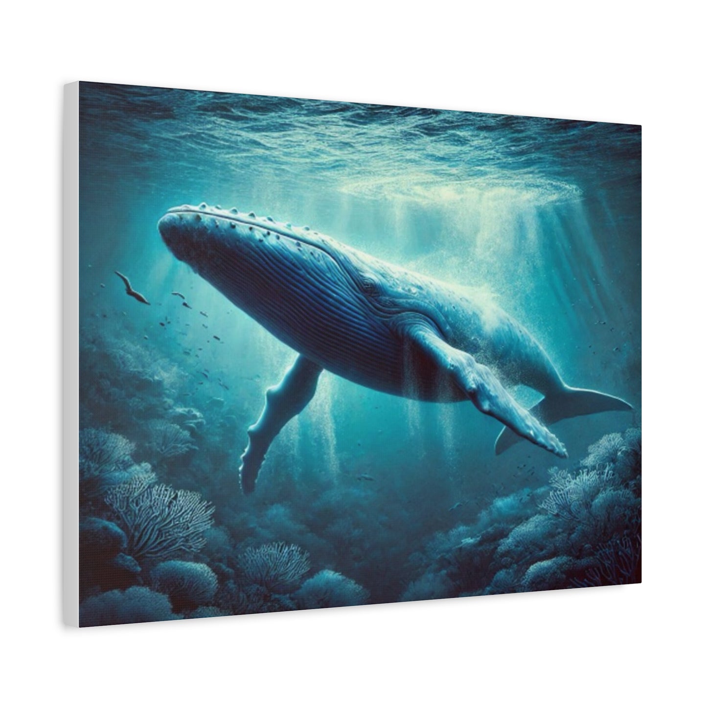 Blue Whale Canvas