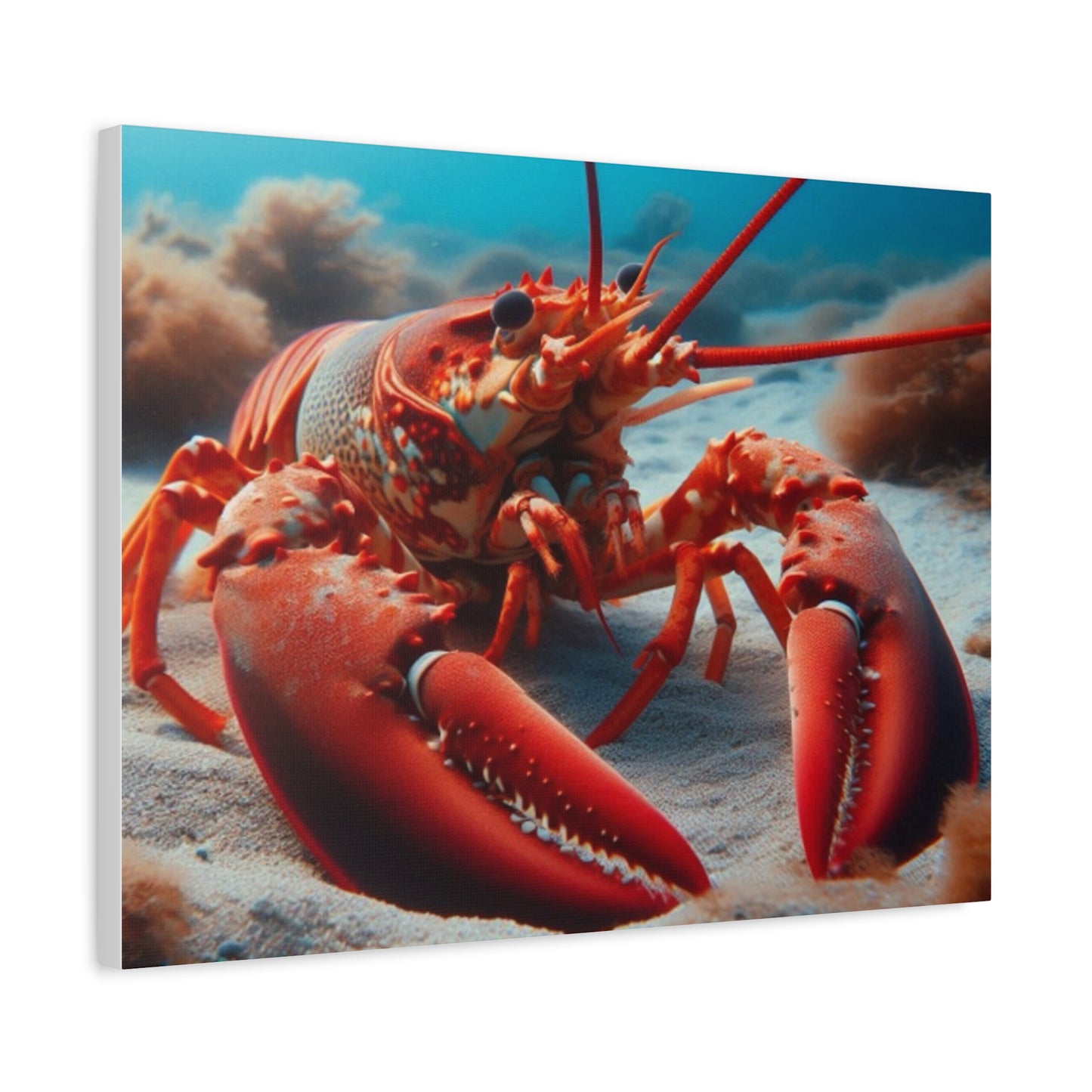 Lobster Canvas