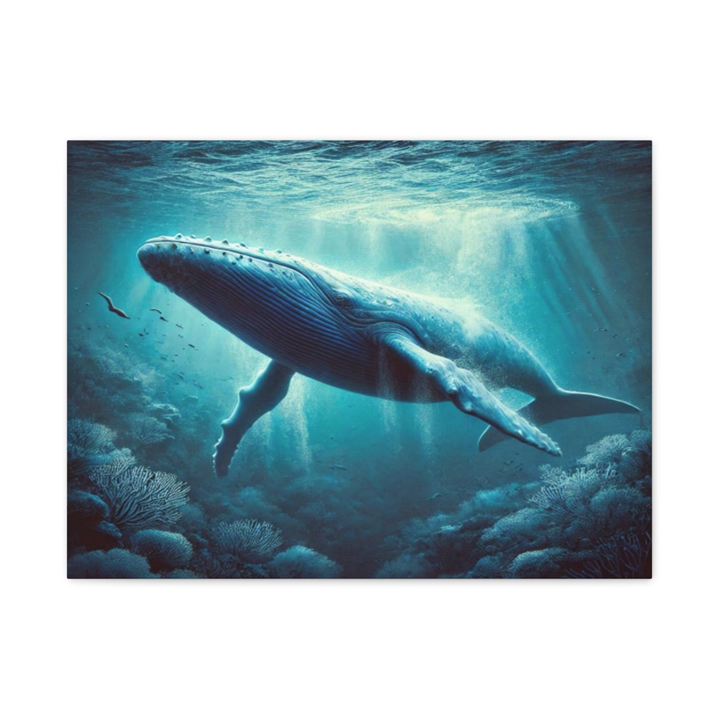 Blue Whale Canvas