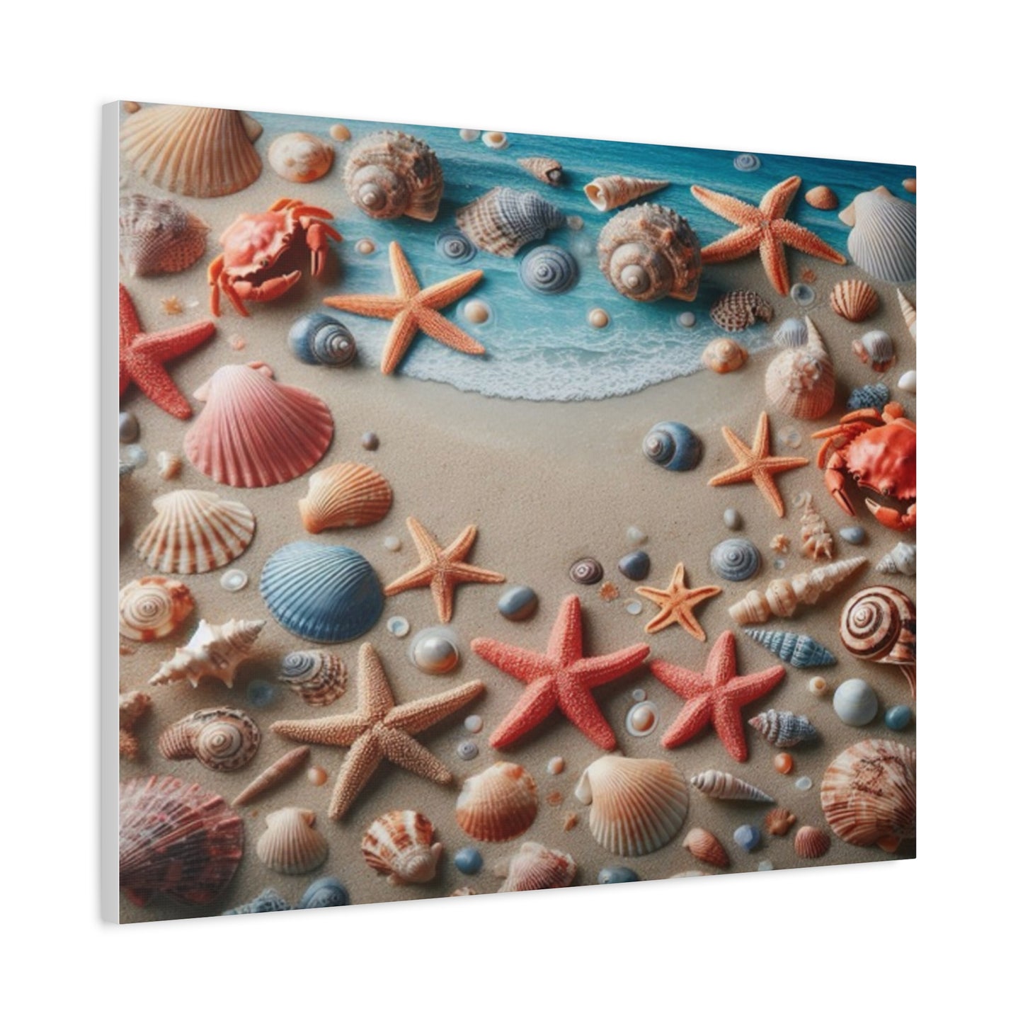 Beach Starfish And Shells Canvas