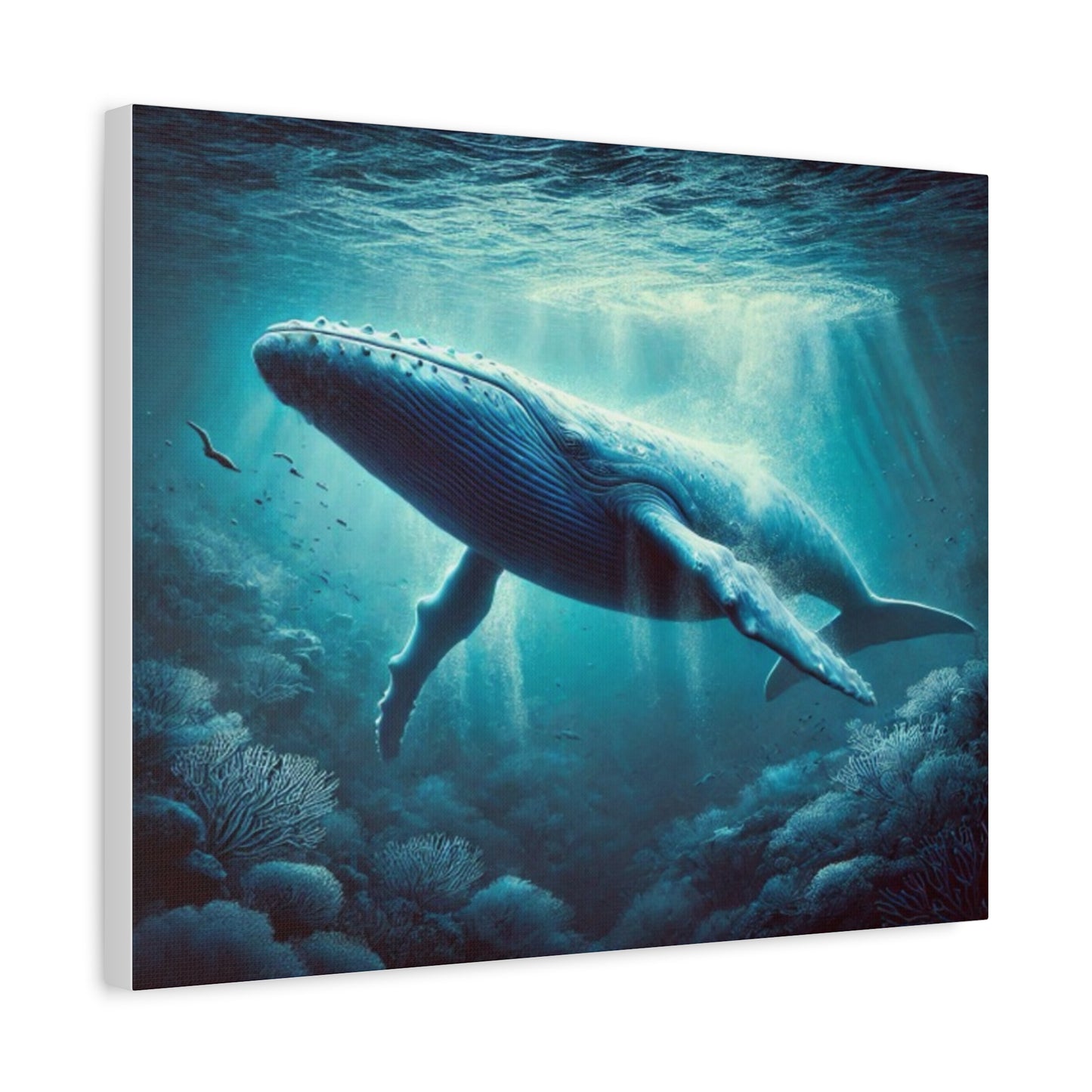 Blue Whale Canvas