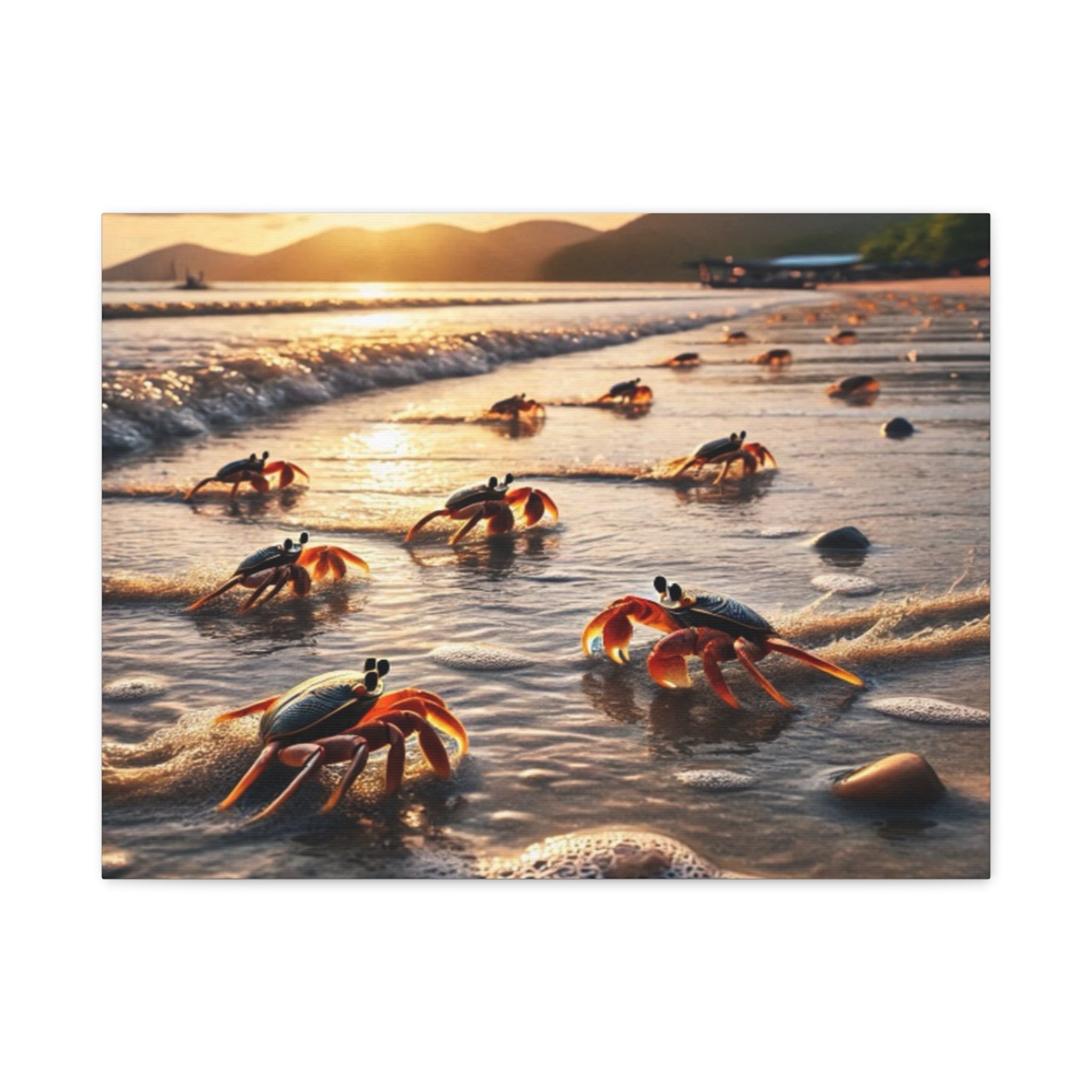 Beach Crab Canvas Art