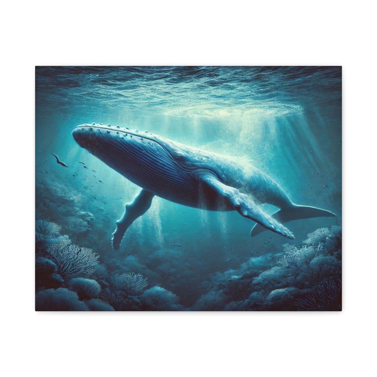 Blue Whale Canvas