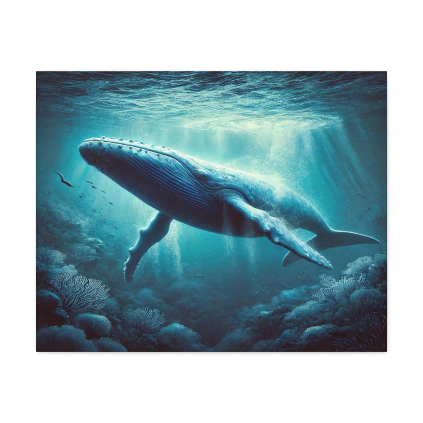 Blue Whale Canvas
