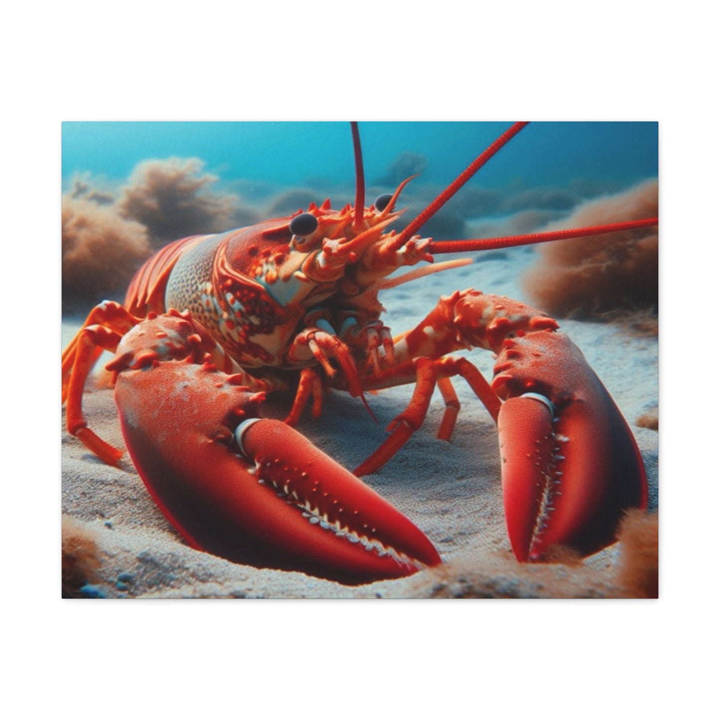 Lobster Canvas