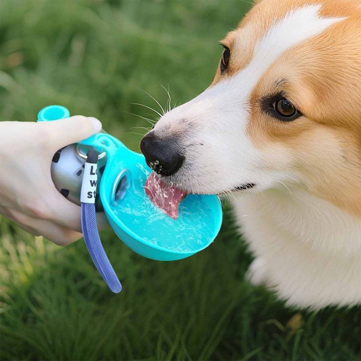 Pet Supplies Portable Dog Water Bottle 304 Stainless Steel Foldable Design