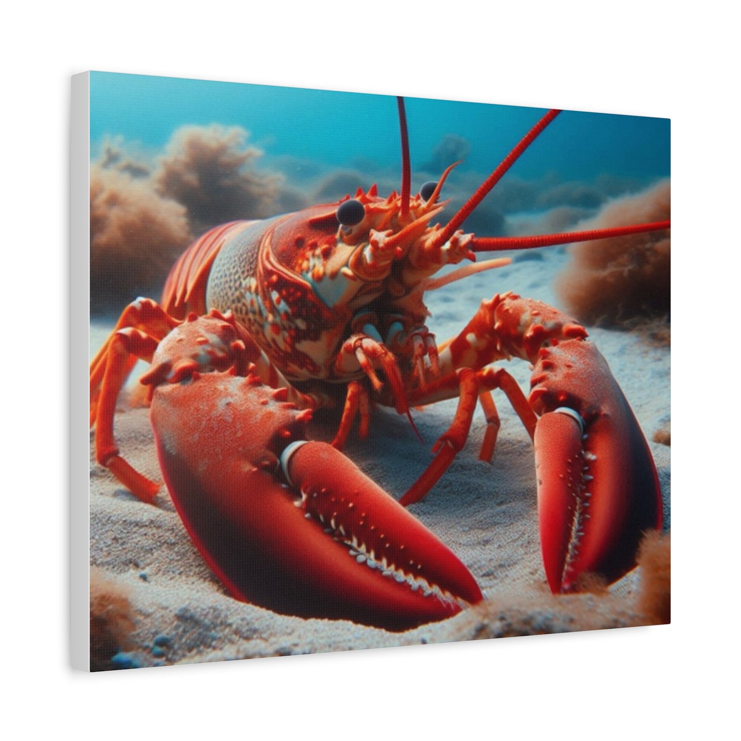 Lobster Canvas