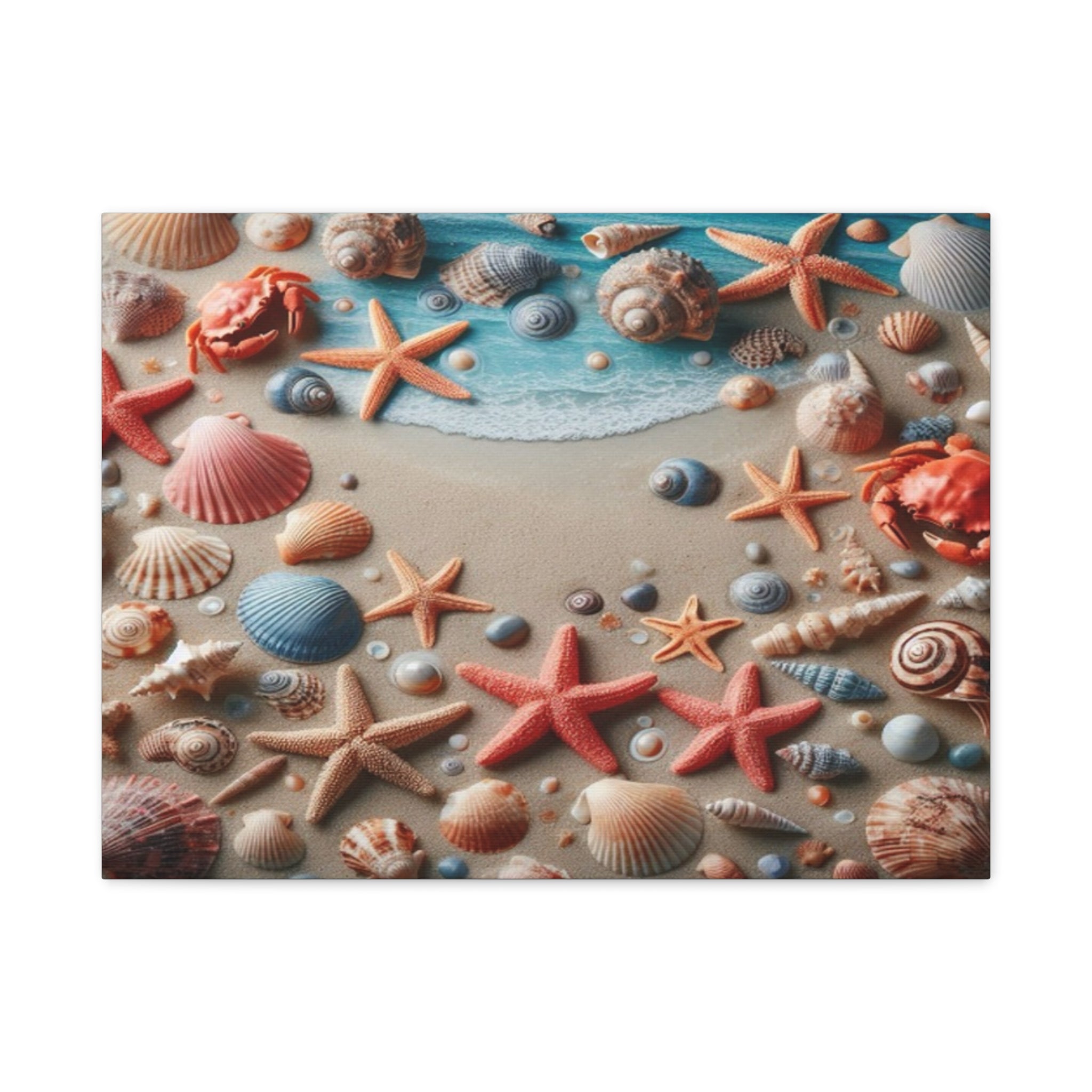 Beach Starfish And Shells Canvas