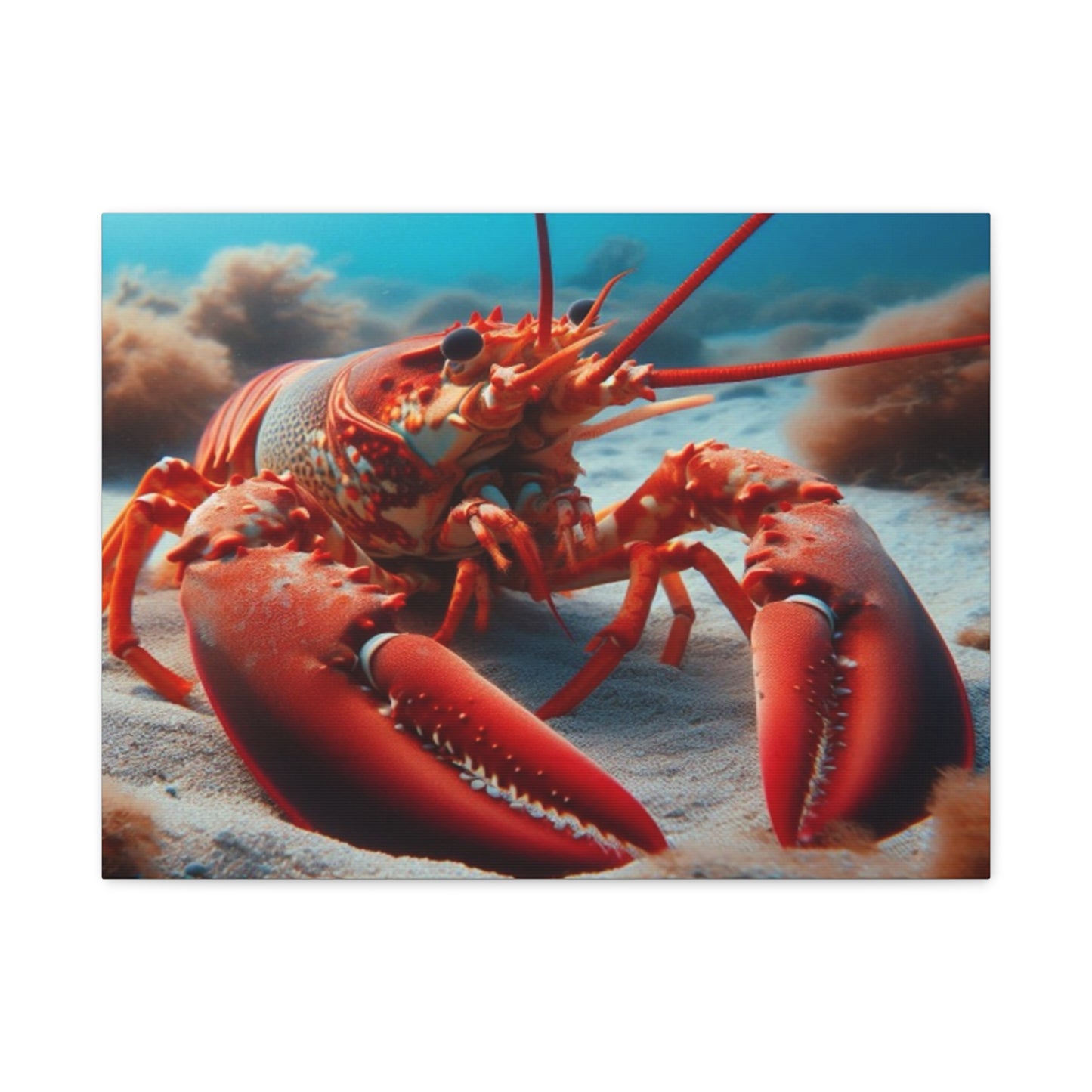 Lobster Canvas