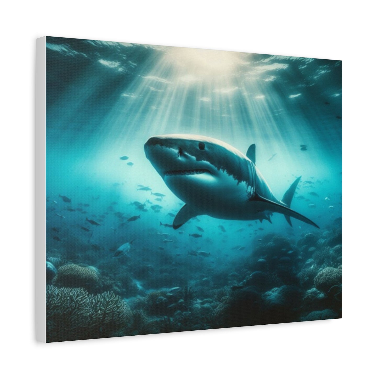 Great White Shark Canvas